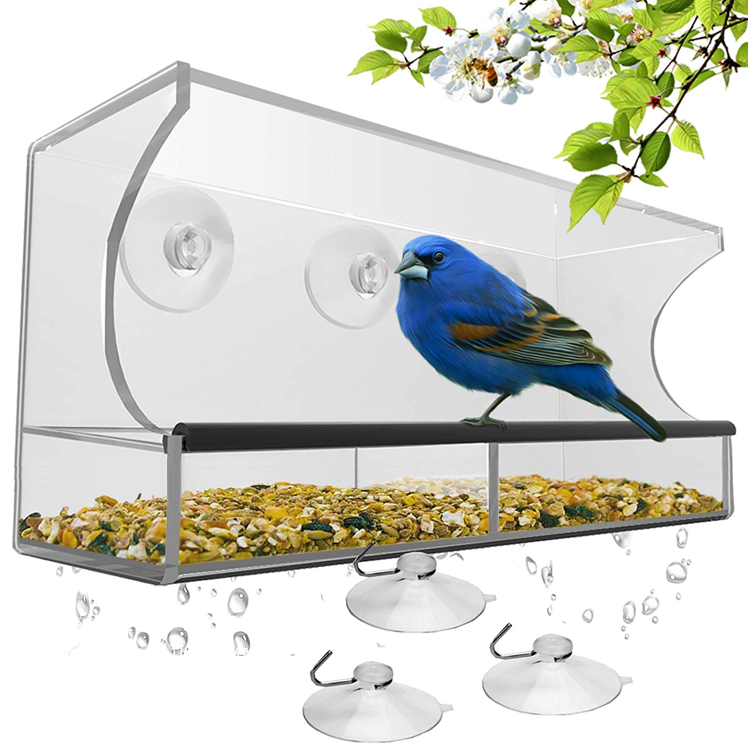 Nature's Hangout Best Window Bird Feeder